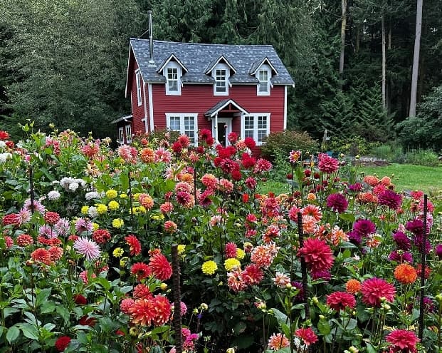 Lopez Island Garden Club Meeting