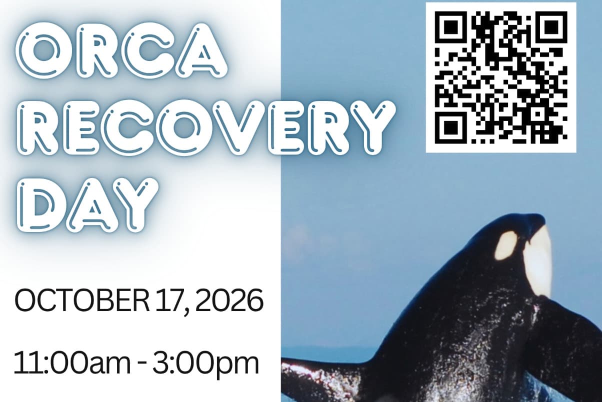 Orca Recovery Day